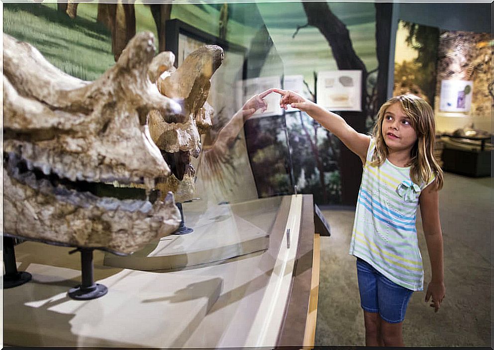 Dinosaurs arouse fascination in the little ones.