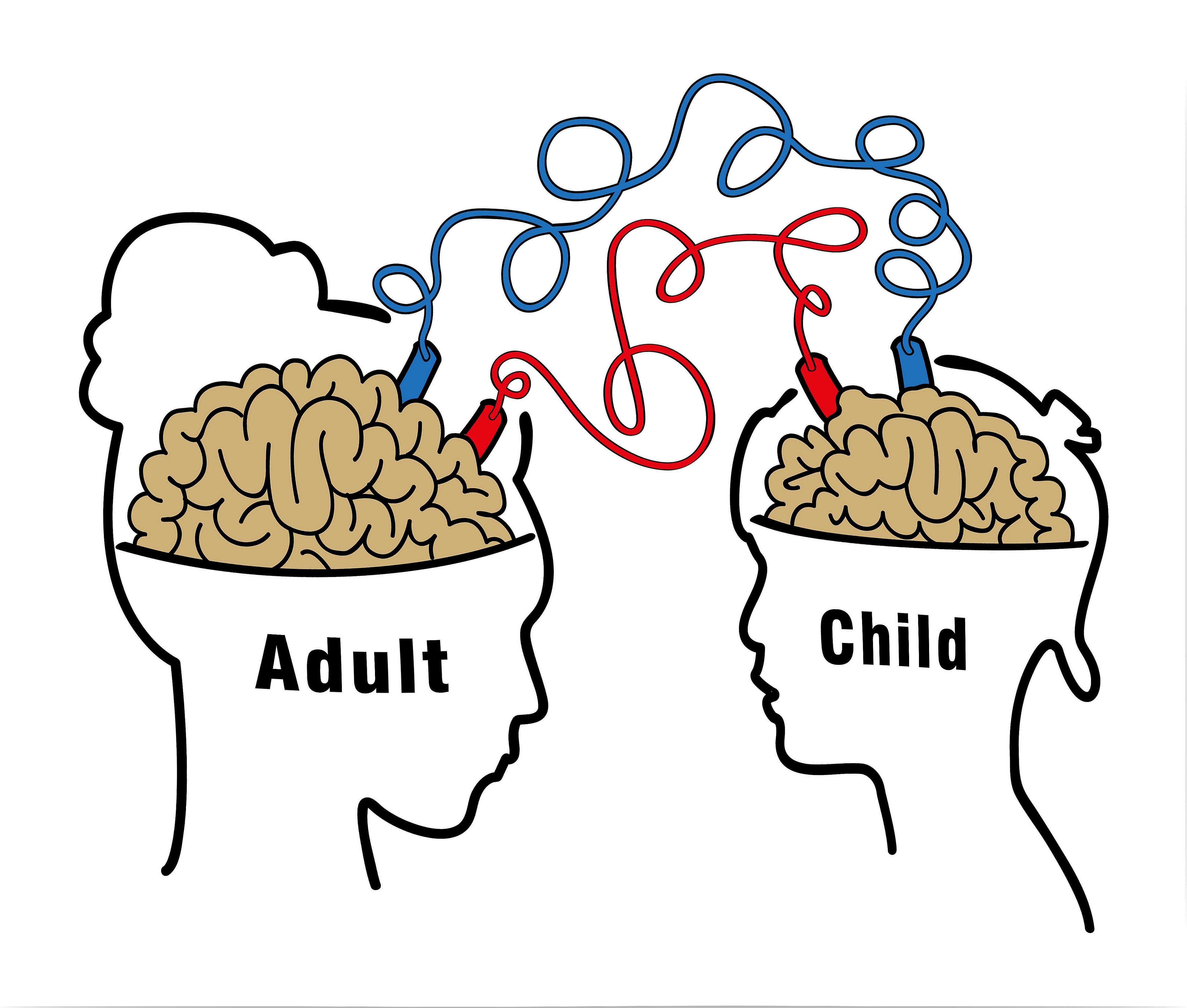 Social learning brains between adults and children.