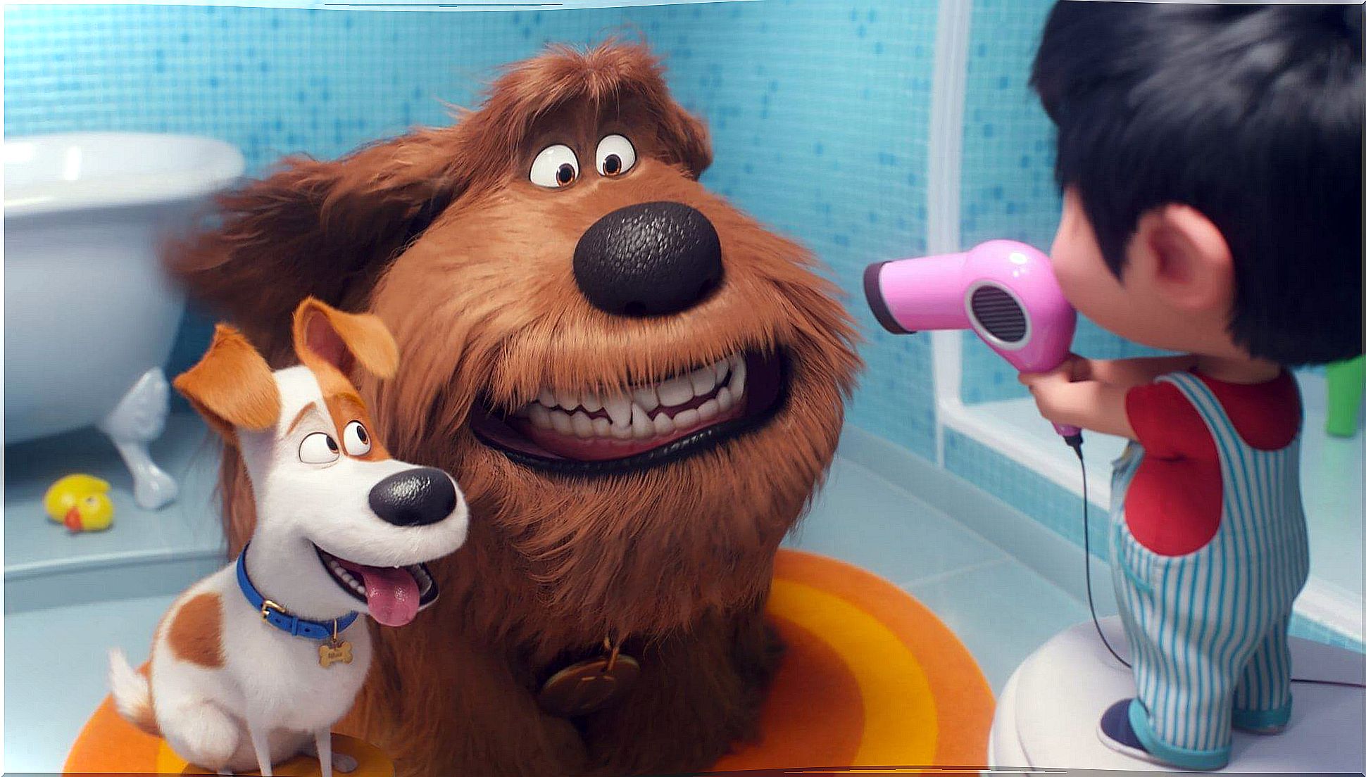 Pets 2, the fun returns to the big screen